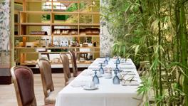 Imagen principal de la ficha